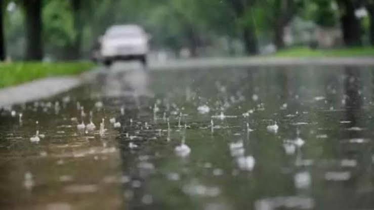 Pronóstico en el Chaco: anticipan lluvias aisladas y ambiente fresco para la semana