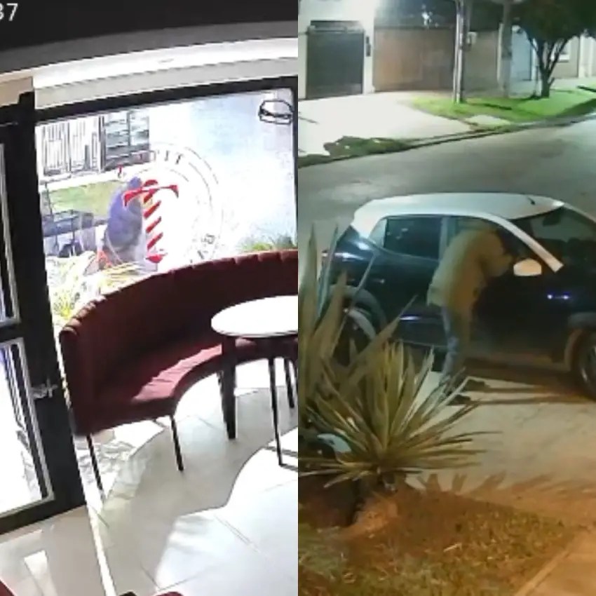 Atrapan a un delincuente serial de comercios tras ser captado por cámaras de seguridad