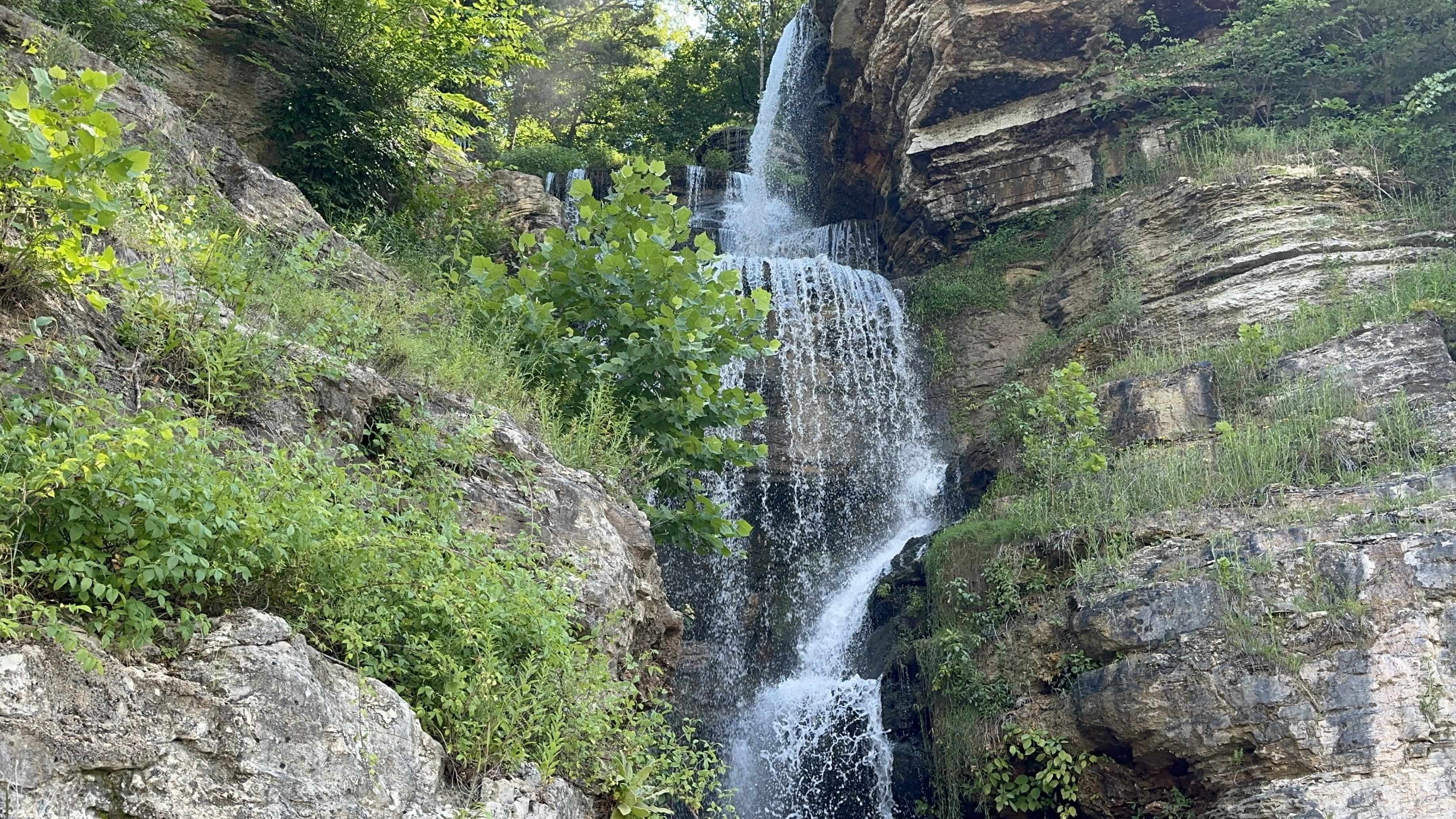 gratitude in every season