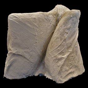 combo 2 - d. edwards