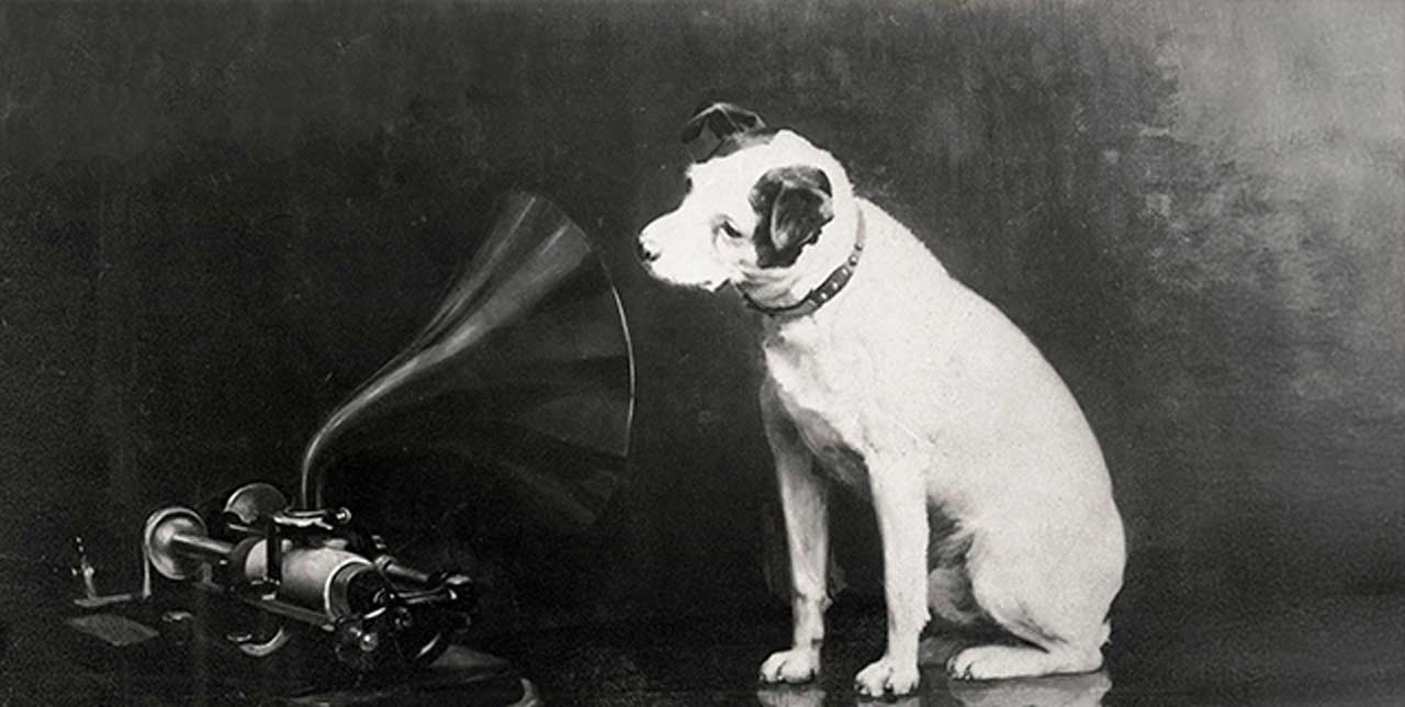 Once upon a dog…