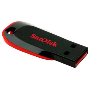 SanDisk Cruzer Blade 16GB USB Flash Drive