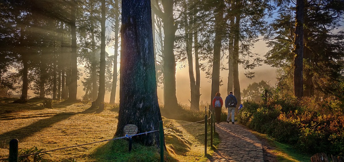 Elasticsearch On K8s 01 Basic Design Chamila Dev - Mountain Design Collection - High Resolution Quality