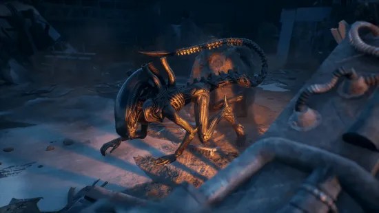 xenomorph