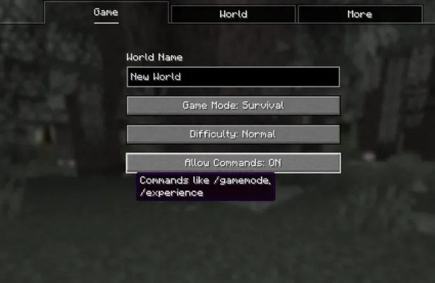 allow commands on minecraft