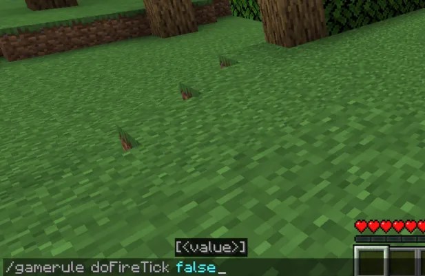 gamerule doFireTick false