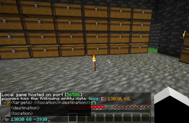 tp command in minecraft
