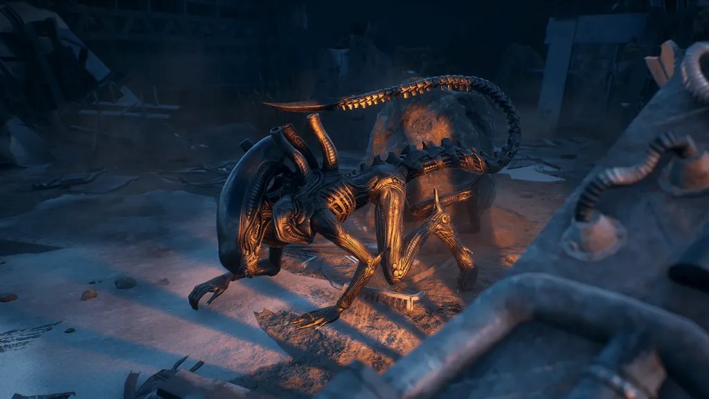 xenomorph in dbd