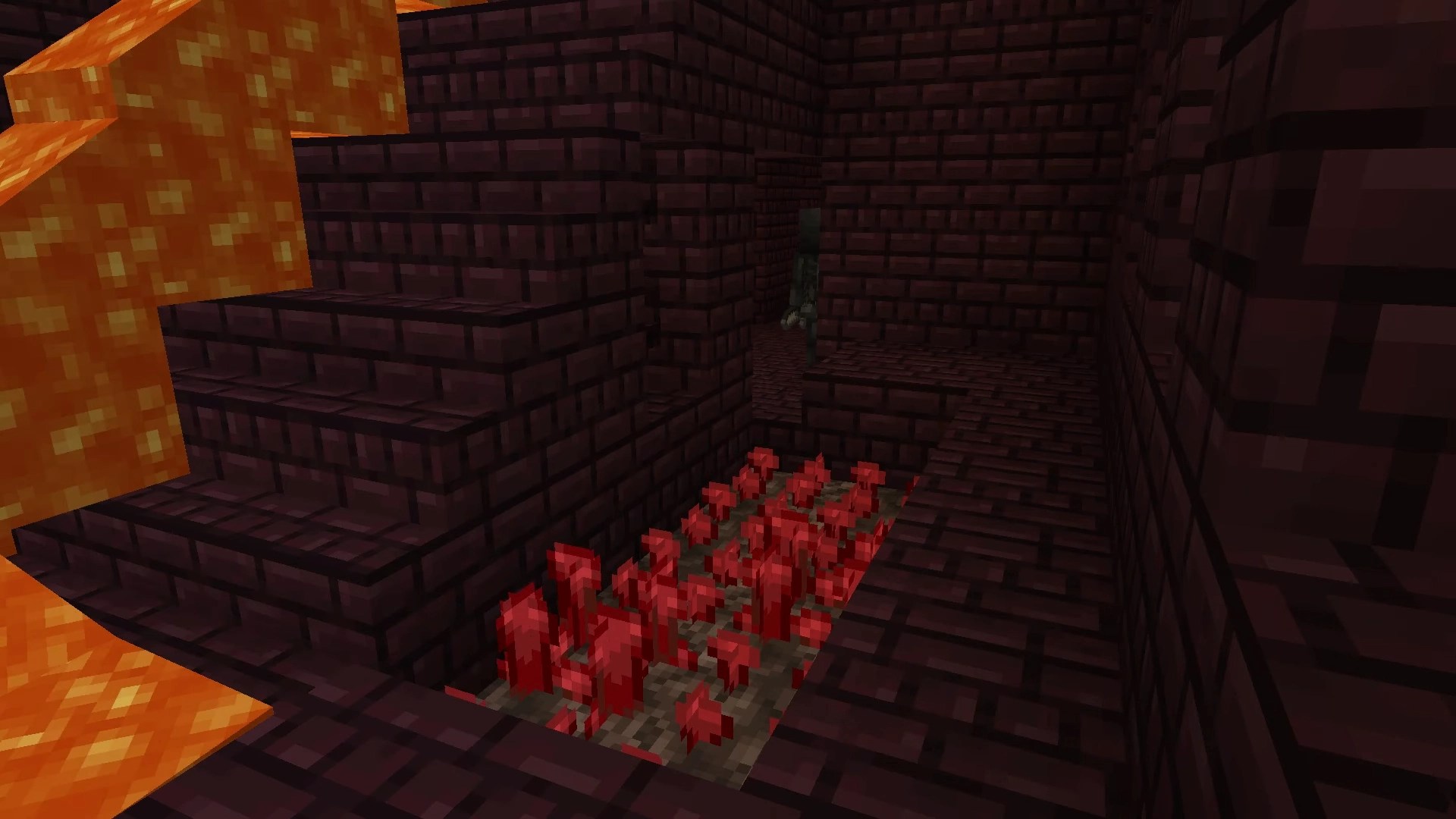nether warts in minecraft