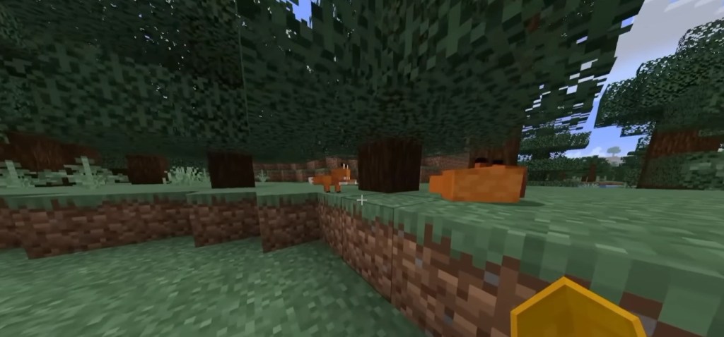 Find Two Foxes