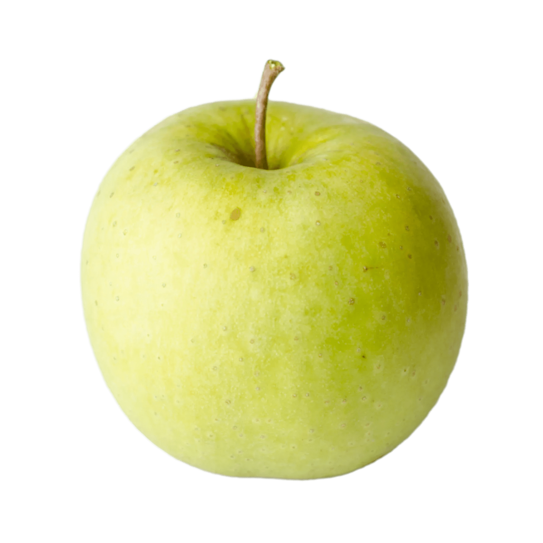 Golden Delicious Champlain Orchards