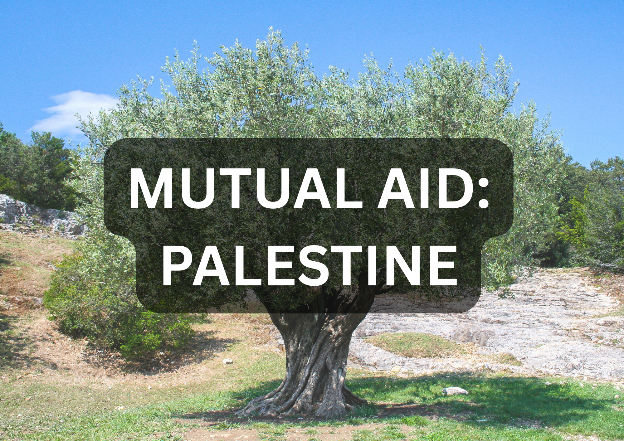 Spotlighting Mutual Aid: Bringing Life-Saving Support to Palestinian Families