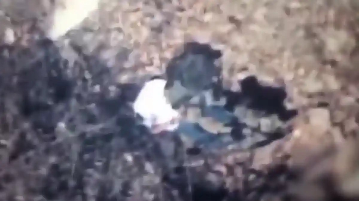 VIDEO| Harfuch difunde rendición de “El Jardinero” en Nayarit