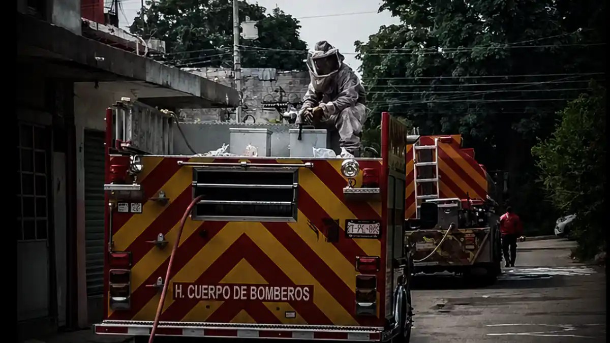 Ataque de abejas africanas deja un muerto y un herido en Nacajuca