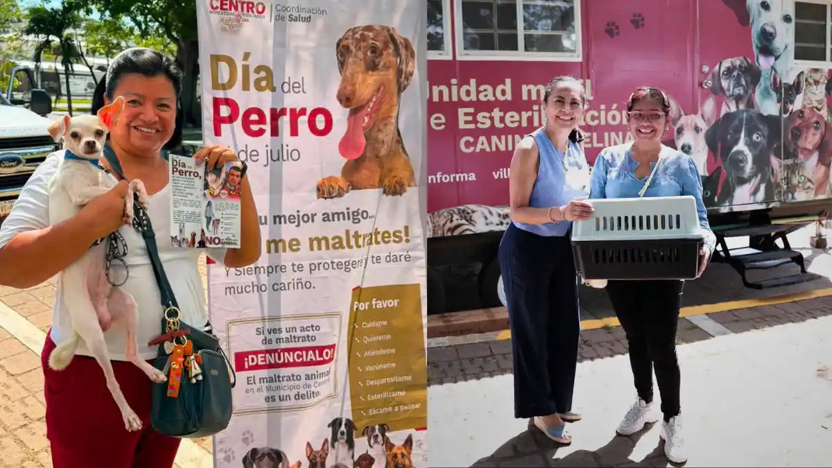 Centro aplica mil 890 esterilizaciones en el Día Mundial del Perro