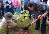 Autoridades municipales y estudiantes participan en la siembra de árboles durante el arranque de la Jornada de Reforestación 2026 en Villahermosa