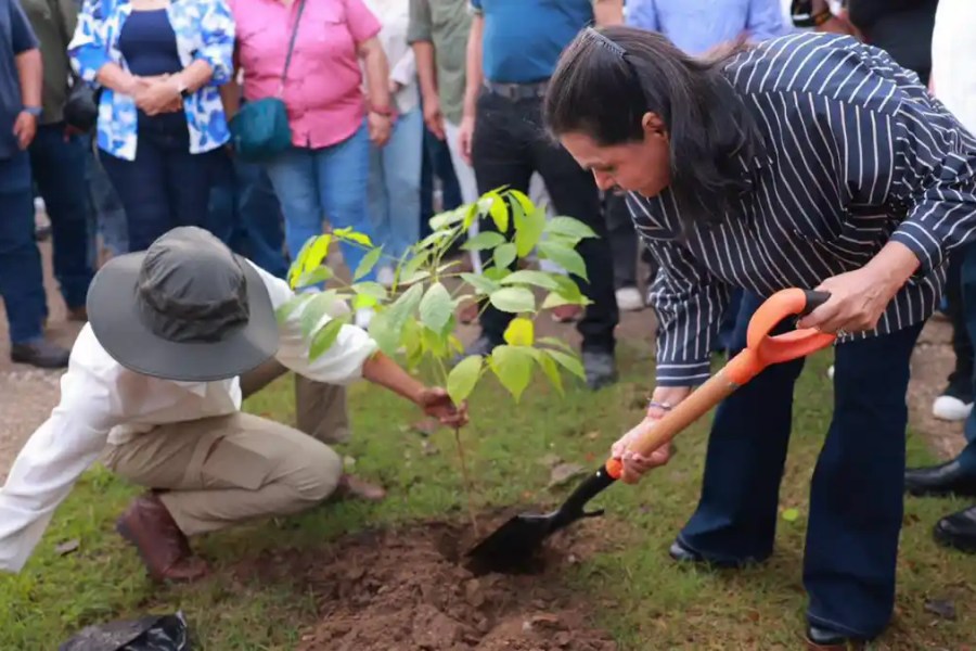 Centro inicia Jornada de Reforestación 2026 con meta de plantar 140 mil árboles