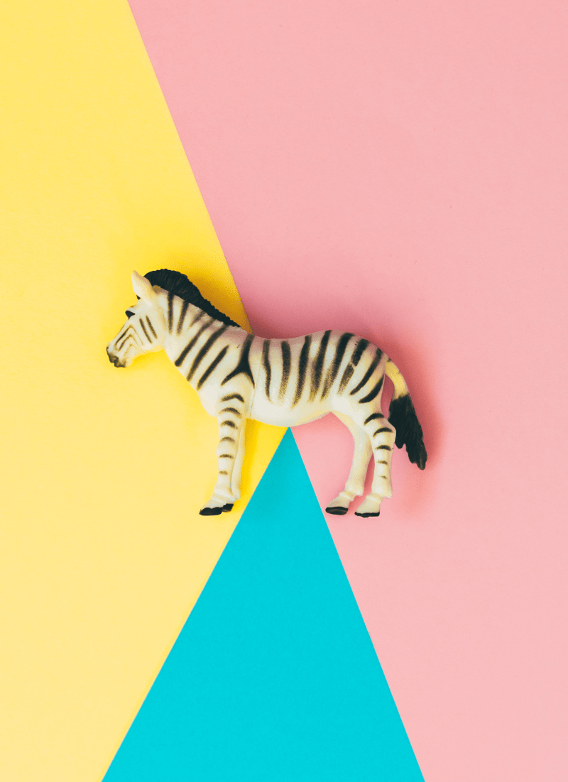 Rare Disease Day • 2022