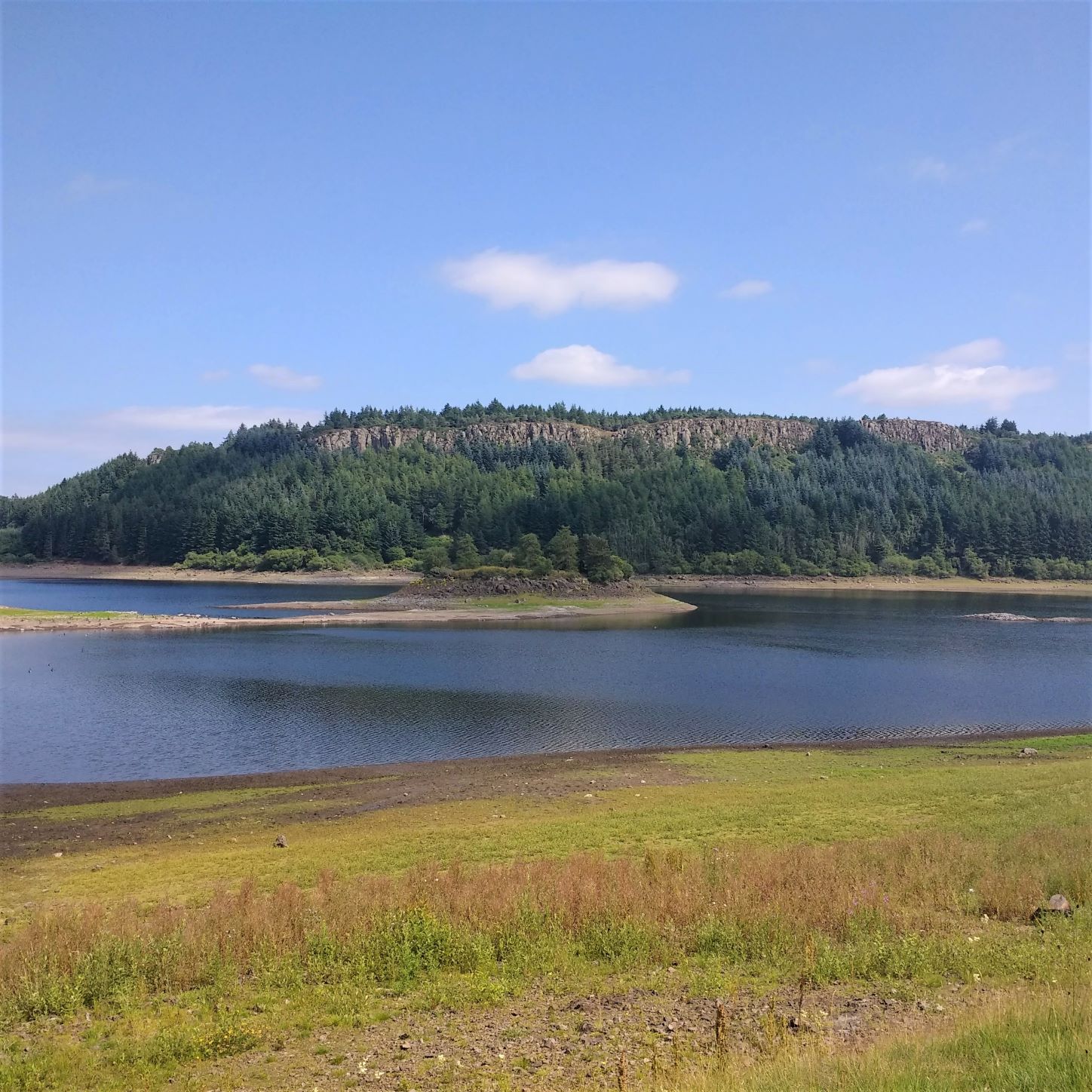 Sauchie Crags on a circular route near Stirling