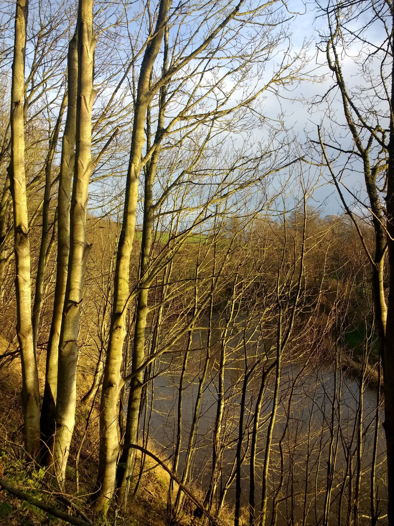 River Till short circular route view