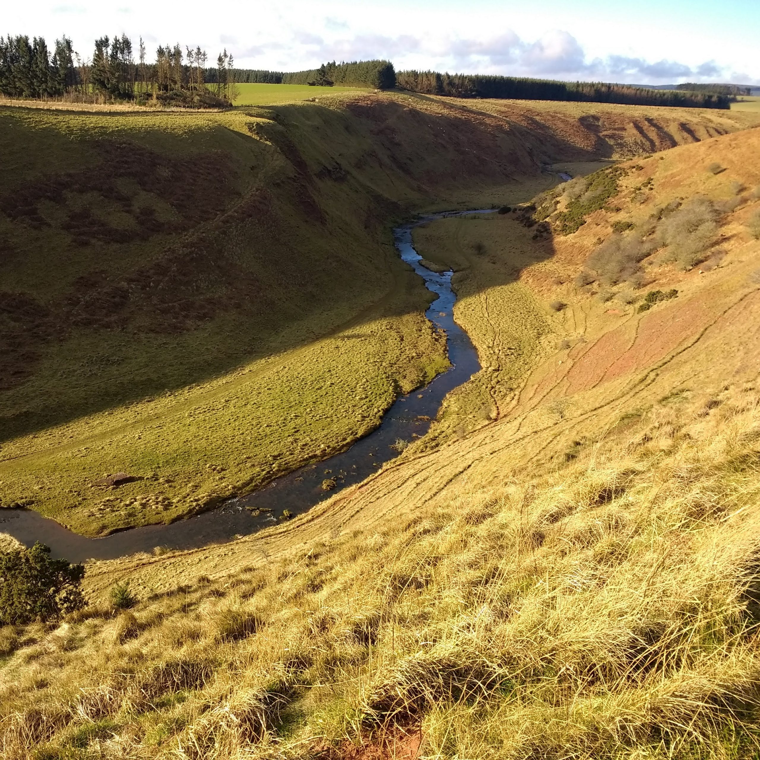 photo of Greenlaw circular walk route