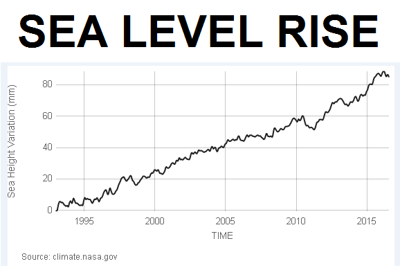 The Terrifying Truth about the Rising Seas