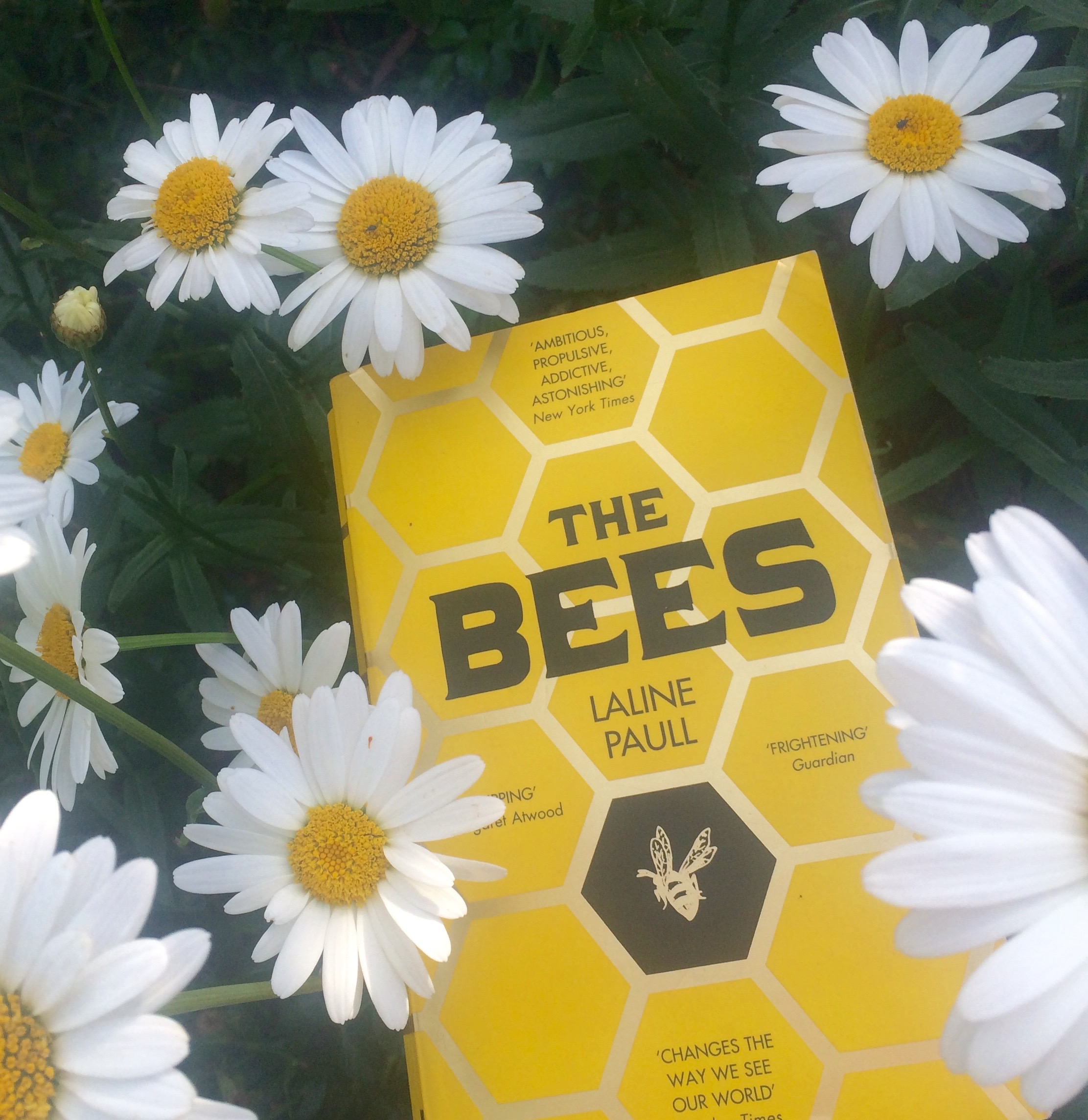 The Bees by Laline Paull