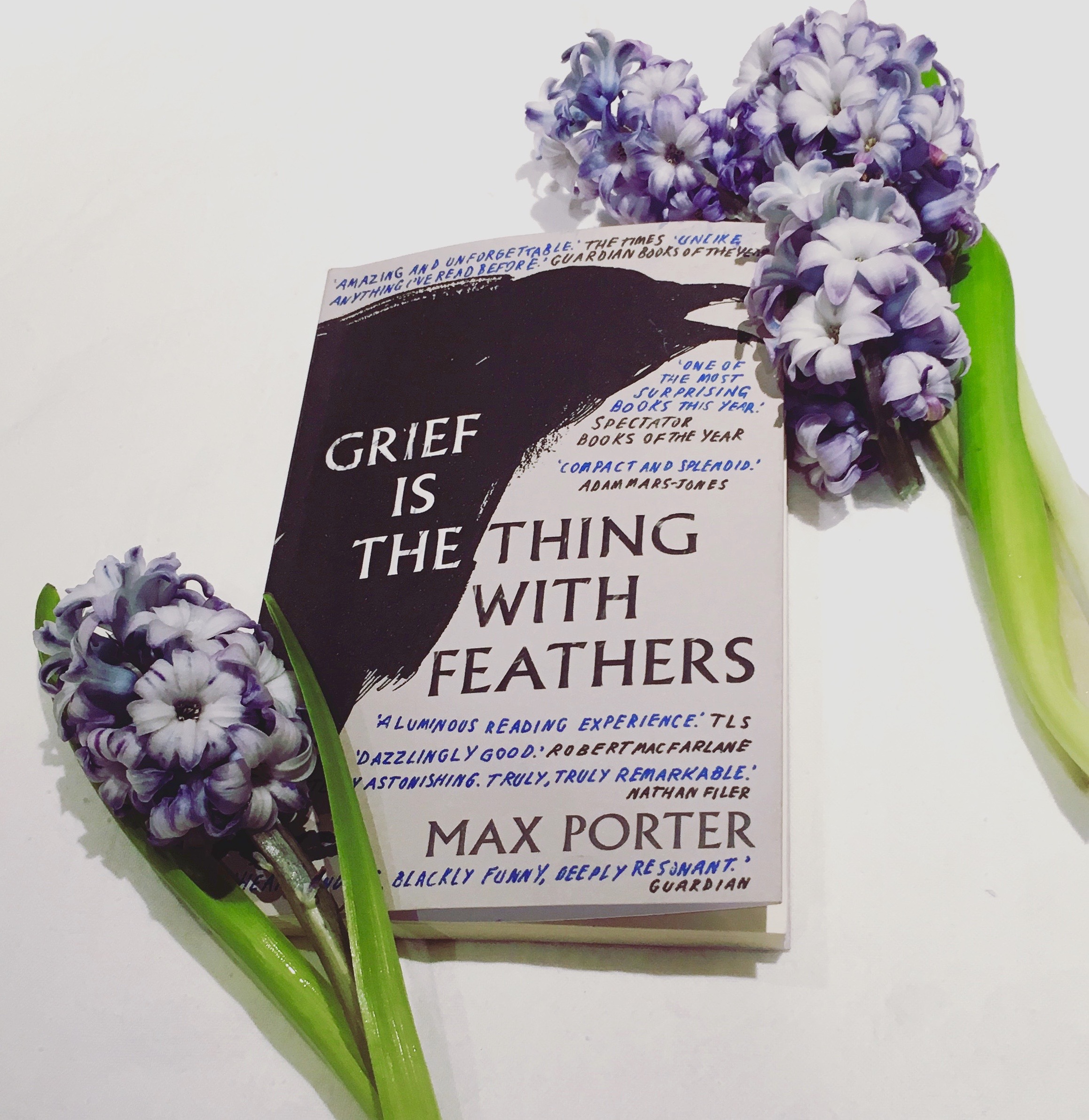 Grief is the thing with feathers