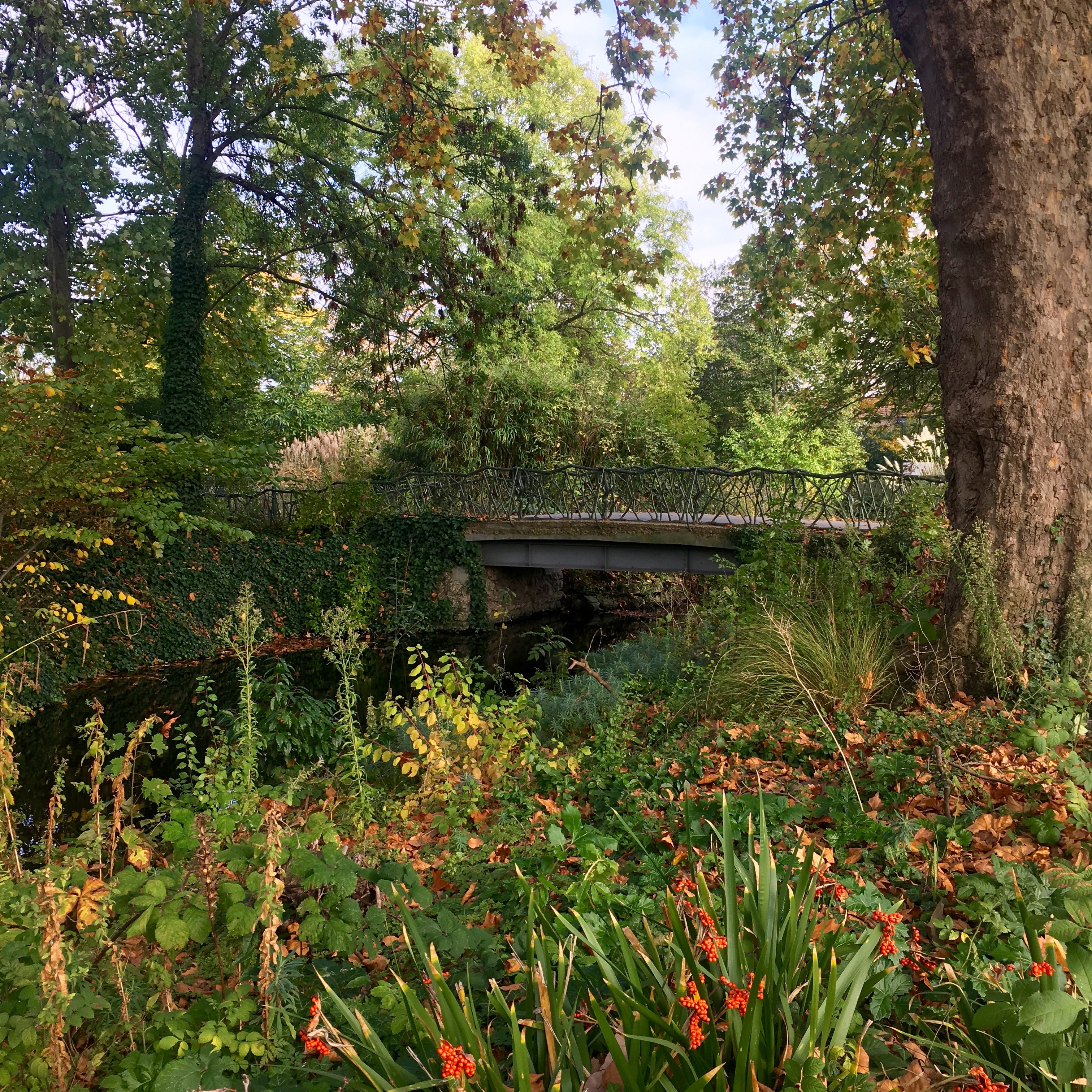 William Morris Gallery Garden