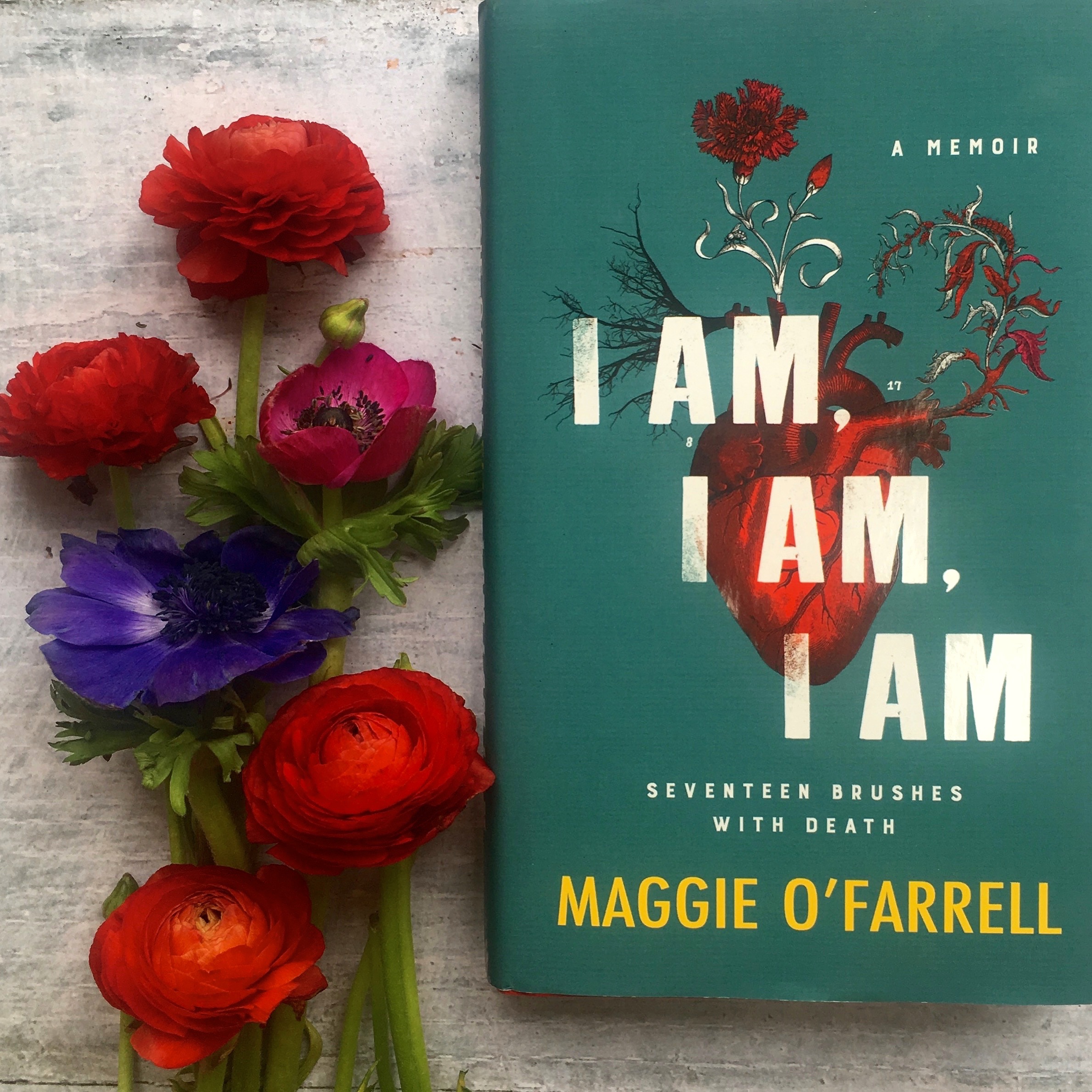 I am, I am, I am by Maggie O'Farrell