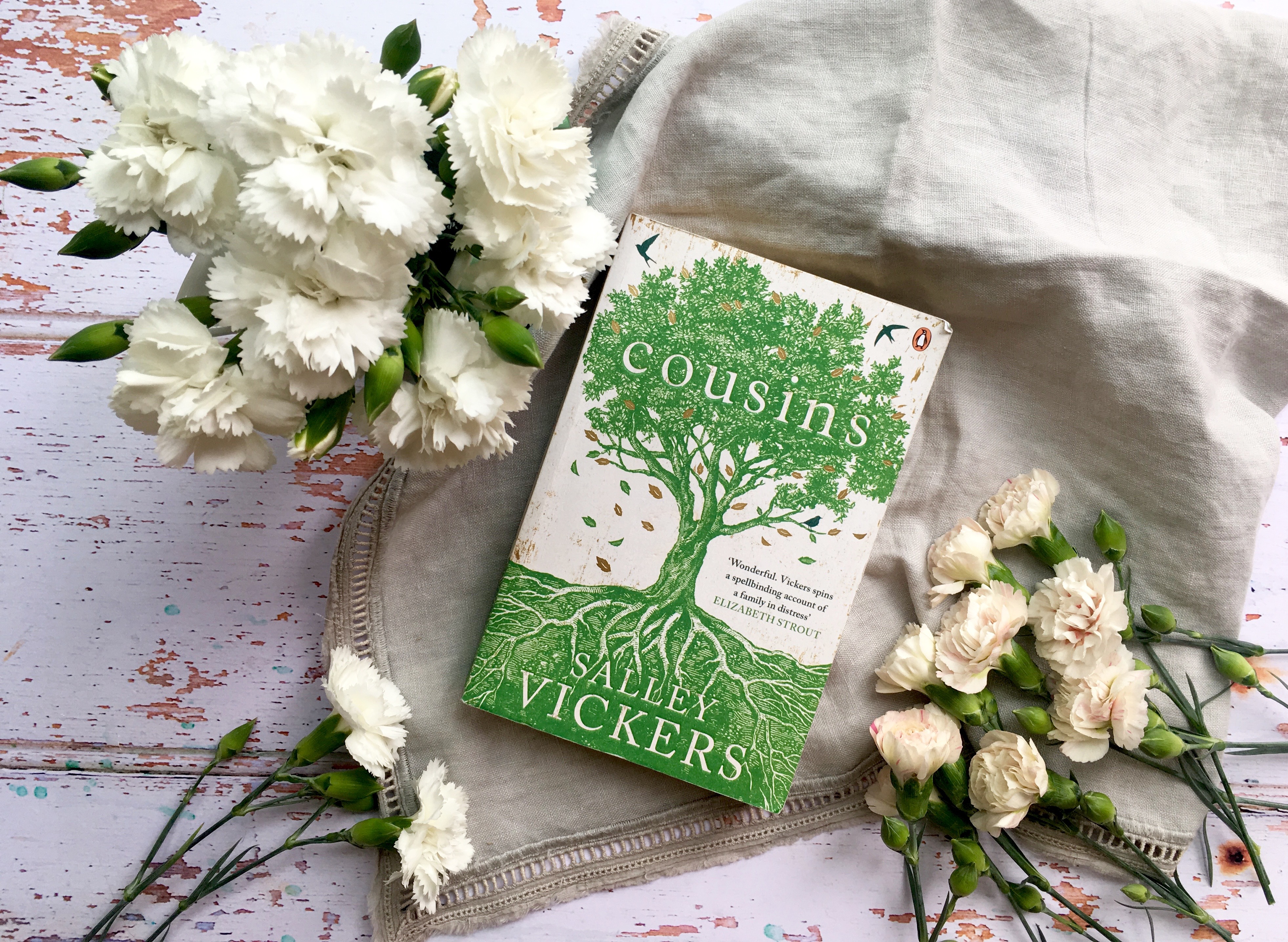 Cousins by Sally Vickers