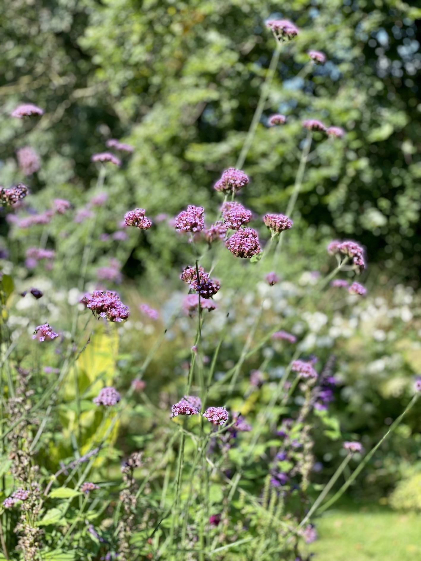 St John's Lodge Gardens