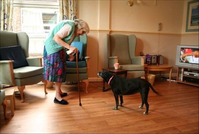 The Eden Alternative is Changing 'Ageing' in Ireland - ChangingAging