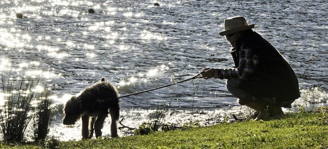 When the Tail Wags the Dog - ChangingAging