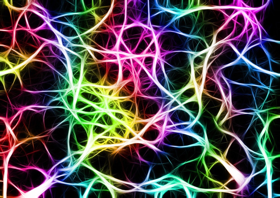 What's in a Dementia Diagnosis: 6 domains of cognition - ChangingAging 1