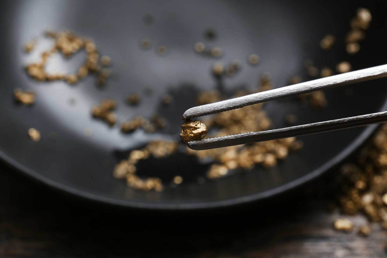 Grains of Truth - ChangingAging