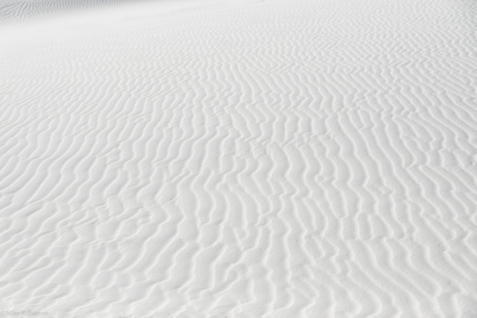 Head in the Sand - ChangingAging 1