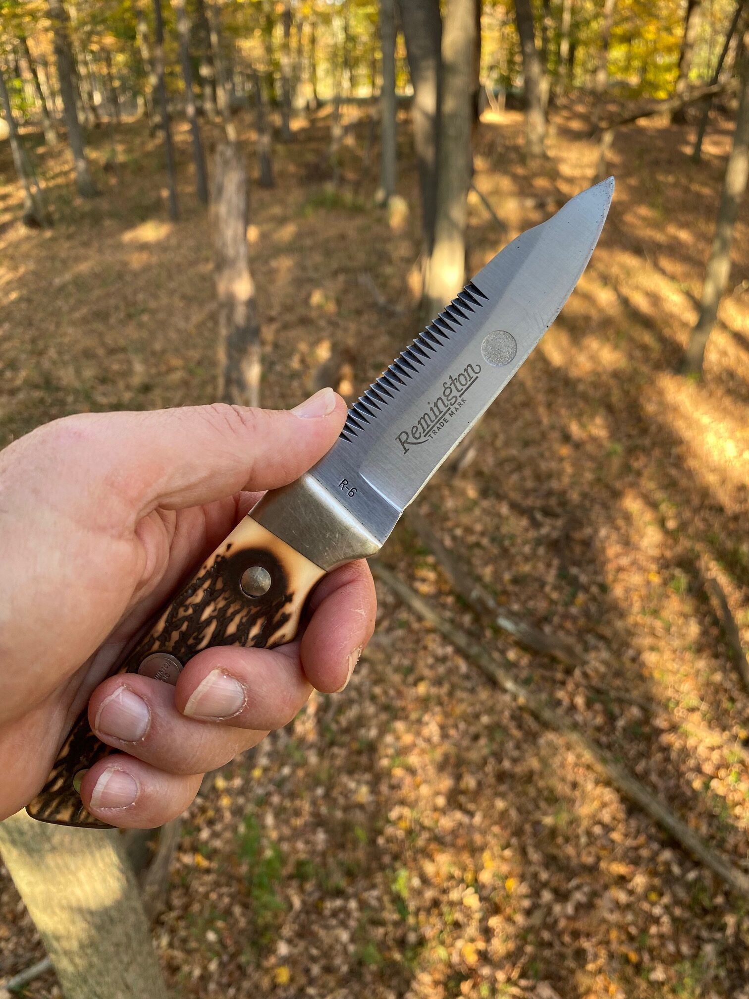 Which Knife Blade Angle for Game Processing Works Best? Changing the Game