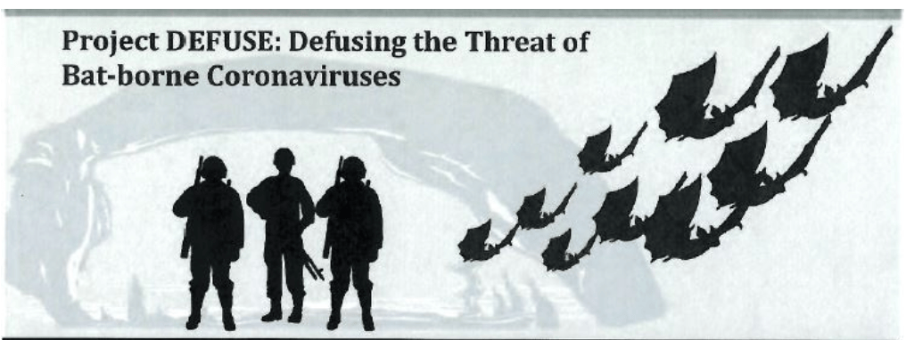 Cover image for DRASTIC investigating team releases leaked documents about gain-of-function coronavirus research