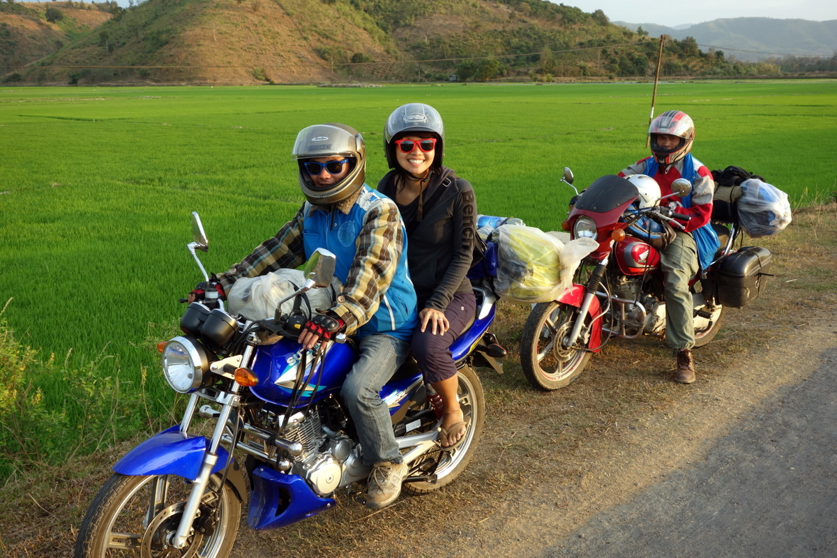 Sunset stop beside rice paddies