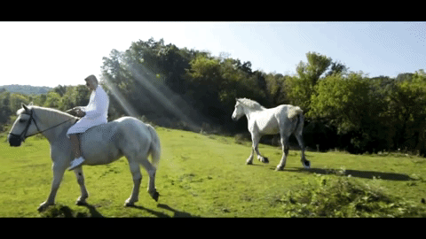 Yung Gravy Reveals His Identity In Mr Clean Video - 