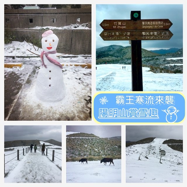 【台北．陽明山】- 破紀錄的超強寒流．銀白色的陽明山．賞雪紀錄(2016.01.24)