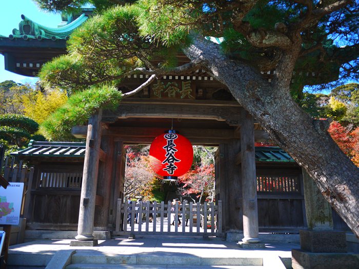 【13 秋日．鎌倉散策 】- 絢爛秋楓下的長谷寺