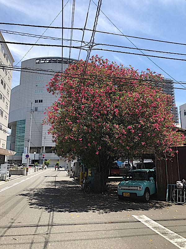 rblog-20170604001624-09.jpg