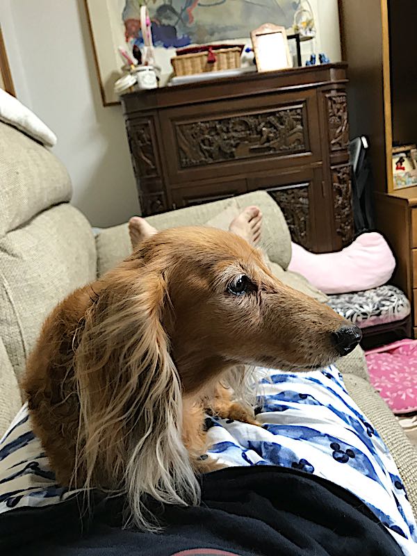 rblog-20180916170711-00.jpg
