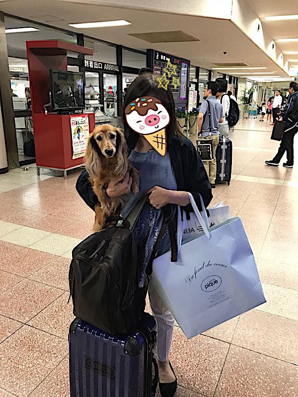 rblog-20180710001259-10.jpg