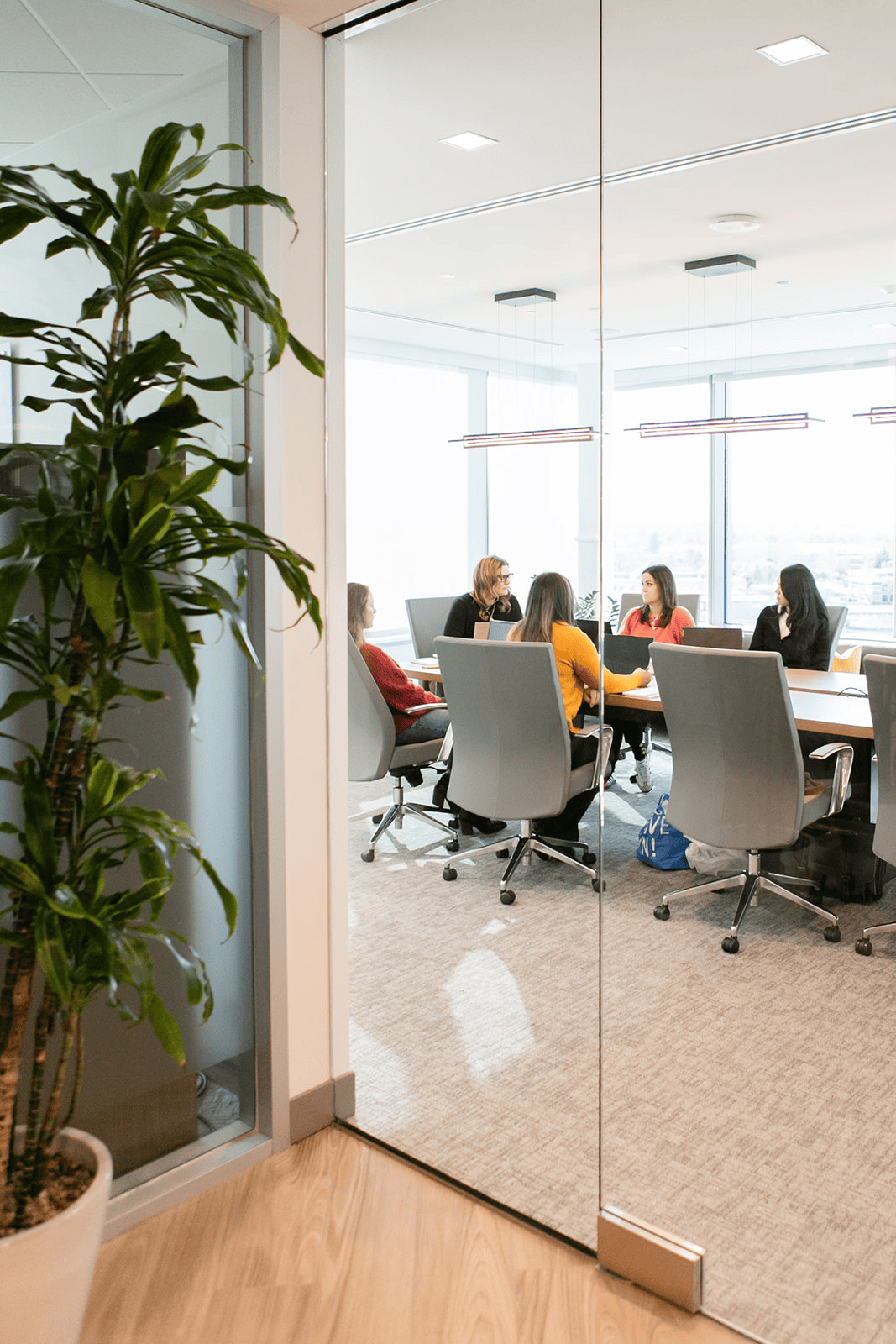 Chapman Consulting Team Meeting