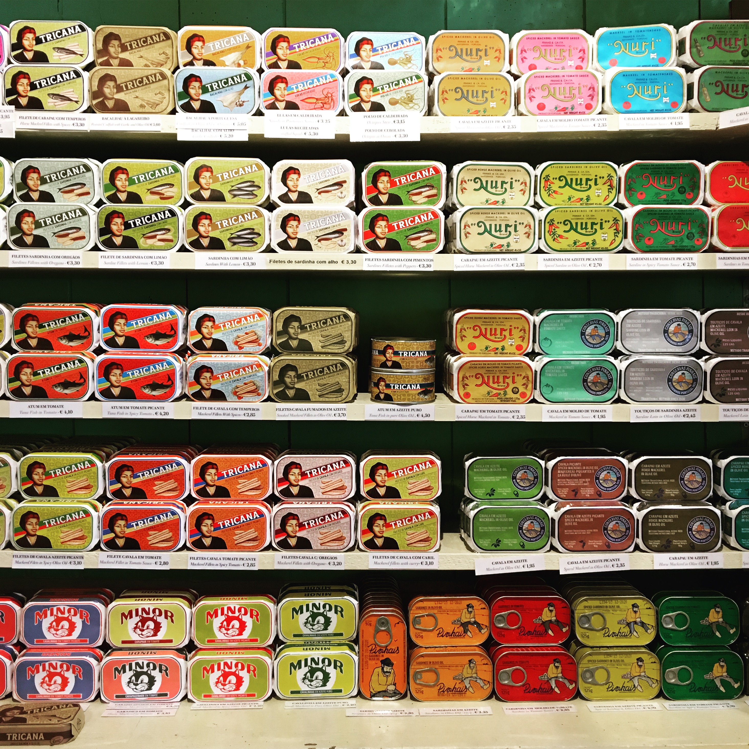 Beautifully designed fish can