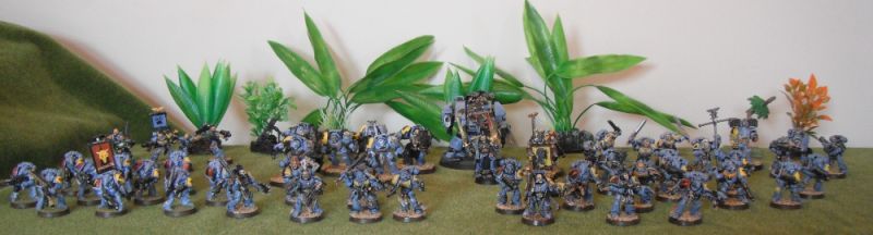 Space Wolves Chaptermasters Com - Classic Sunset Wallpaper - High Resolution