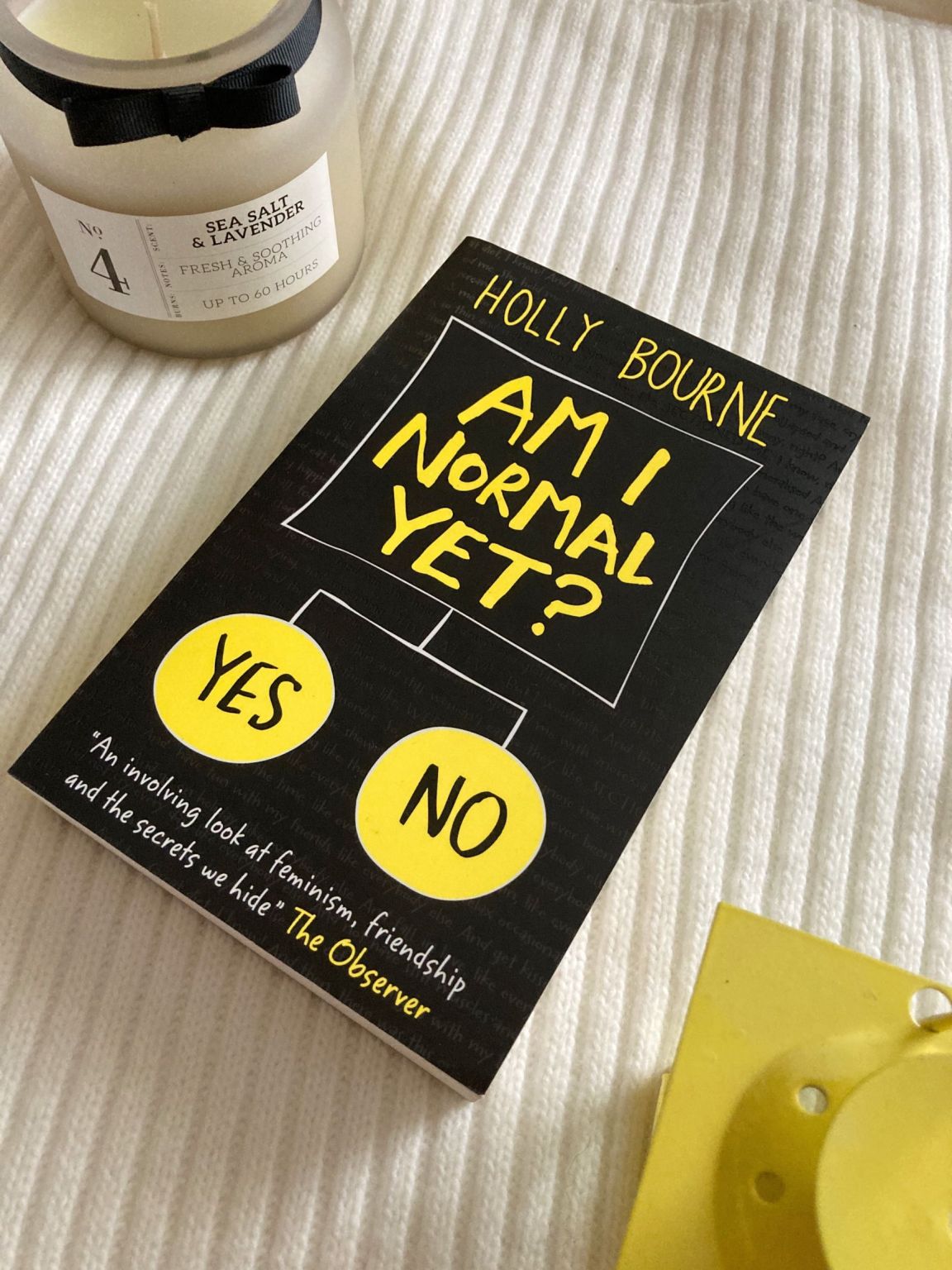Book Review: Am I Normal Yet? by Holly Bourne - Chapters of Rosi